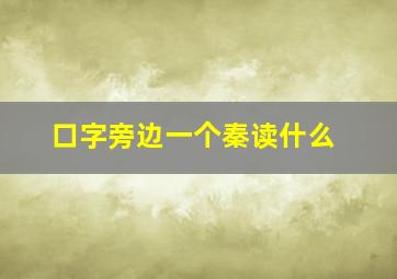 口字旁边一个秦读什么