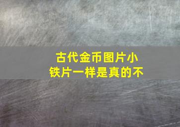 古代金币图片小铁片一样是真的不