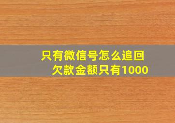 只有微信号怎么追回欠款金额只有1000