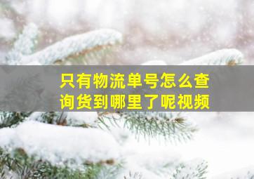 只有物流单号怎么查询货到哪里了呢视频