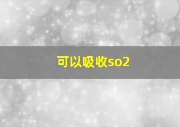 可以吸收so2