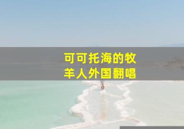 可可托海的牧羊人外国翻唱