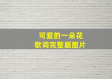 可爱的一朵花歌词完整版图片