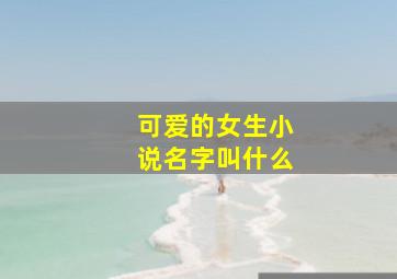 可爱的女生小说名字叫什么