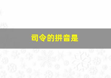 司令的拼音是