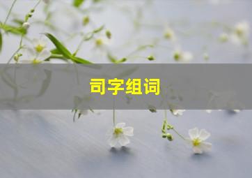 司字组词