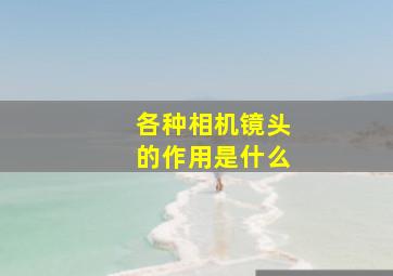 各种相机镜头的作用是什么