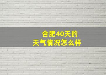 合肥40天的天气情况怎么样