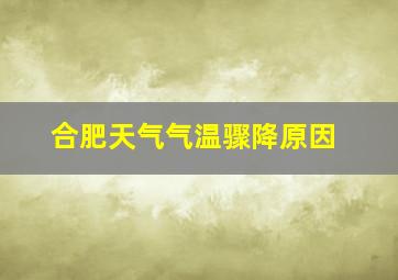 合肥天气气温骤降原因