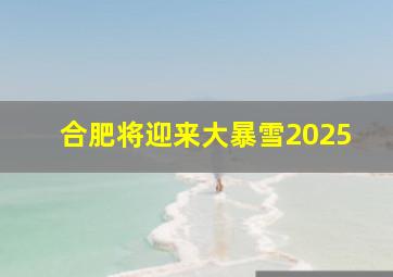 合肥将迎来大暴雪2025