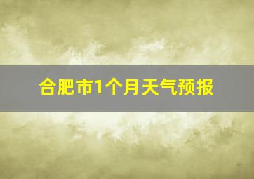 合肥市1个月天气预报