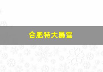 合肥特大暴雪