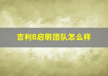 吉利8启明团队怎么样