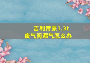 吉利帝豪1.3t废气阀漏气怎么办