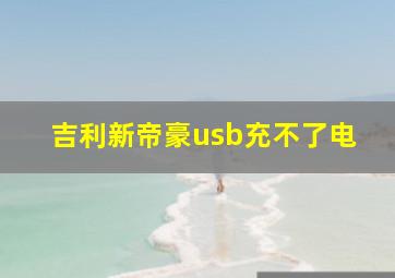 吉利新帝豪usb充不了电