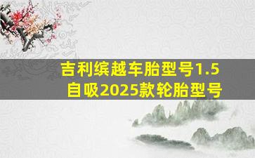 吉利缤越车胎型号1.5自吸2025款轮胎型号