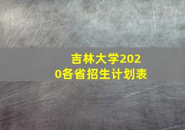 吉林大学2020各省招生计划表