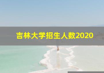 吉林大学招生人数2020