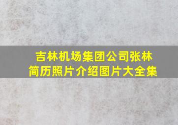 吉林机场集团公司张林简历照片介绍图片大全集