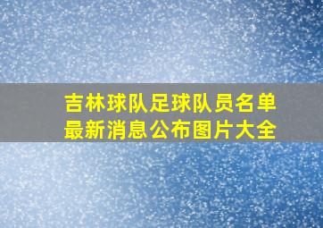 吉林球队足球队员名单最新消息公布图片大全