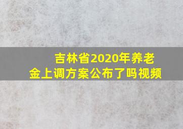 吉林省2020年养老金上调方案公布了吗视频