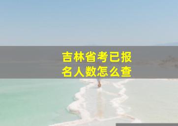 吉林省考已报名人数怎么查