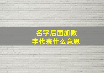 名字后面加数字代表什么意思