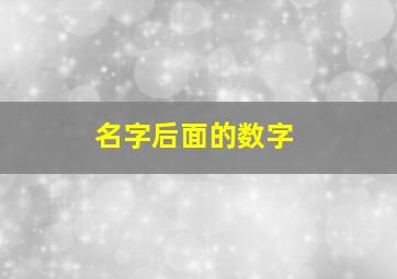 名字后面的数字