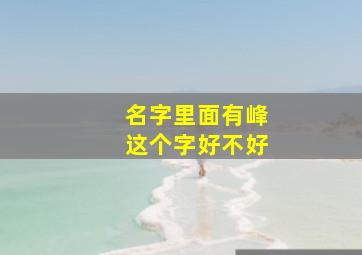 名字里面有峰这个字好不好