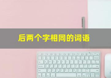 后两个字相同的词语