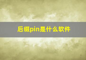 后缀pin是什么软件