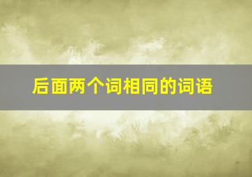 后面两个词相同的词语