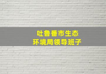 吐鲁番市生态环境局领导班子