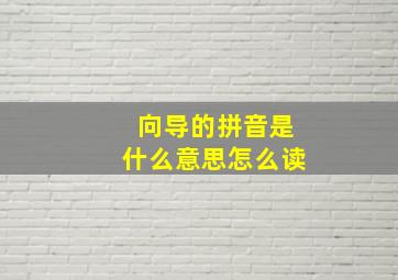 向导的拼音是什么意思怎么读