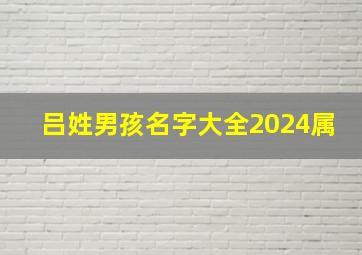 吕姓男孩名字大全2024属