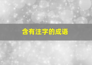 含有注字的成语