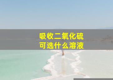 吸收二氧化硫可选什么溶液