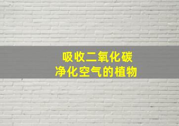 吸收二氧化碳净化空气的植物