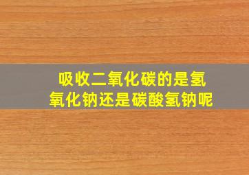 吸收二氧化碳的是氢氧化钠还是碳酸氢钠呢