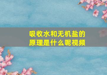 吸收水和无机盐的原理是什么呢视频