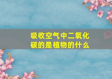 吸收空气中二氧化碳的是植物的什么