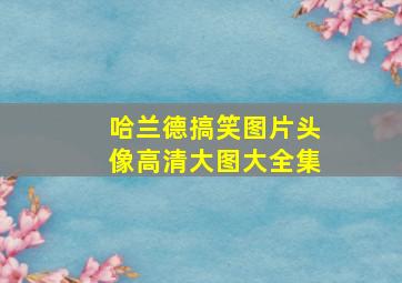 哈兰德搞笑图片头像高清大图大全集