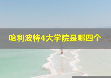 哈利波特4大学院是哪四个