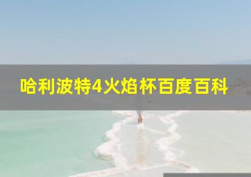 哈利波特4火焰杯百度百科