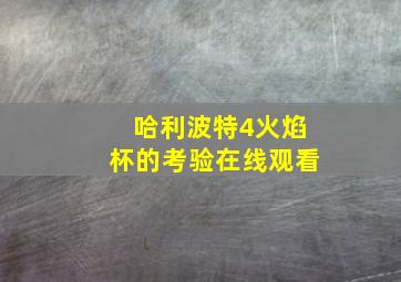 哈利波特4火焰杯的考验在线观看