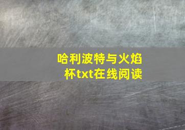 哈利波特与火焰杯txt在线阅读