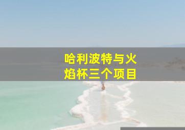 哈利波特与火焰杯三个项目