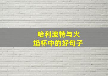 哈利波特与火焰杯中的好句子