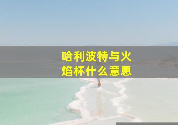 哈利波特与火焰杯什么意思