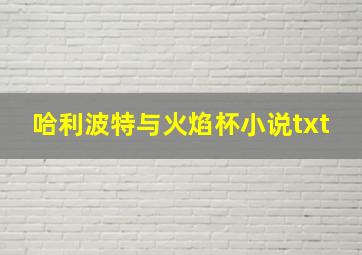 哈利波特与火焰杯小说txt